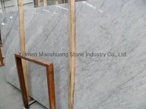 Top Quality Bianco Carrara White Marble for Wall Floor Desk Bathroom Vanity Tops
