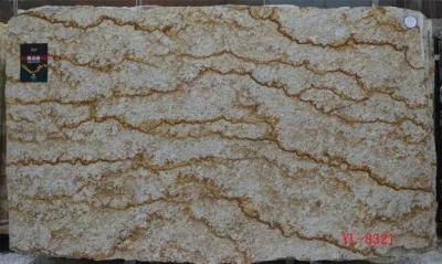 High Polished White/Black/Grey/Beige/Brown/Green/Red/Wooden Marble Slab