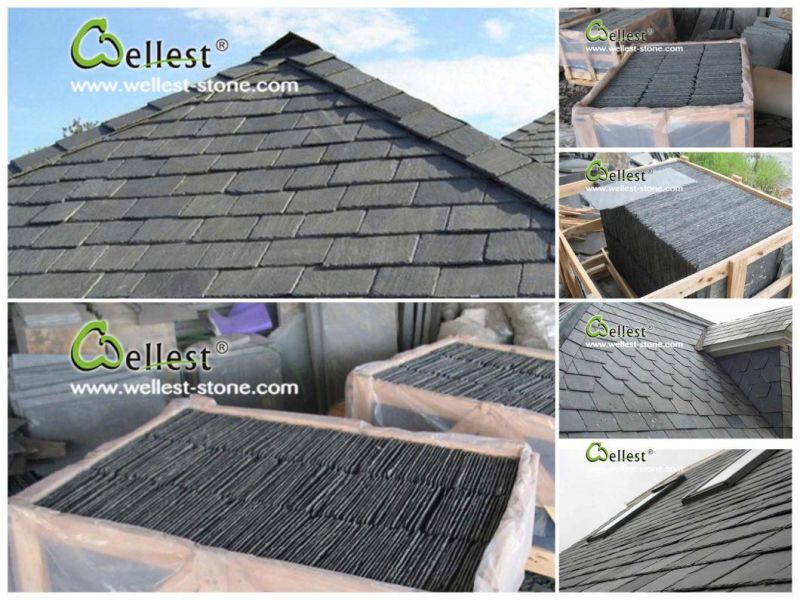 Multicolor Slate Roof Tile with Good Price