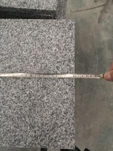 Factory Natural Grey Granite Stone for Floor Tiles