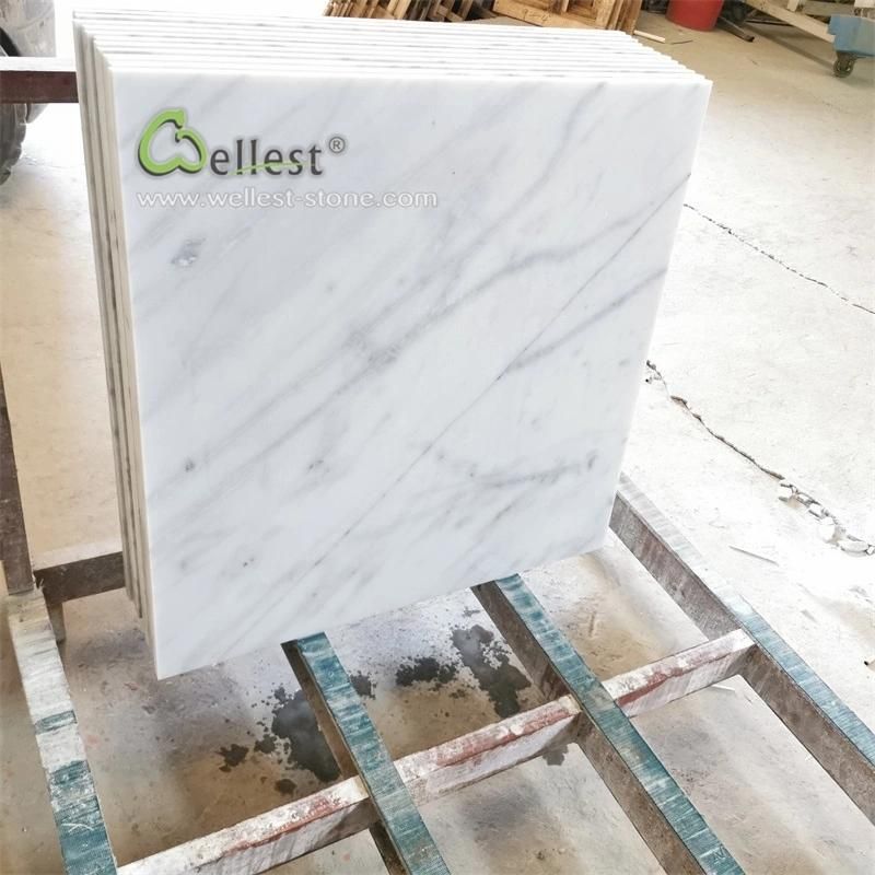 Elegant White with Vein Marble Tile with Honed Finishing