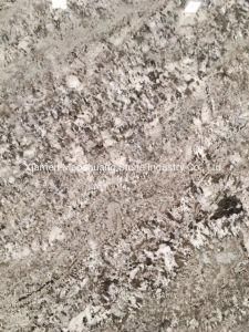 Antico Bianco White Granite Granite for Walls, Floors and Countertops
