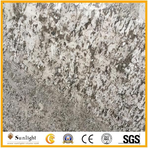 Popular Bianco Antico Silver Color Granite Vanity Tops and Countertops