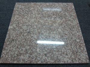 Polishing G664 Granite Tile for Floor, Wall, Staircase, Stairway