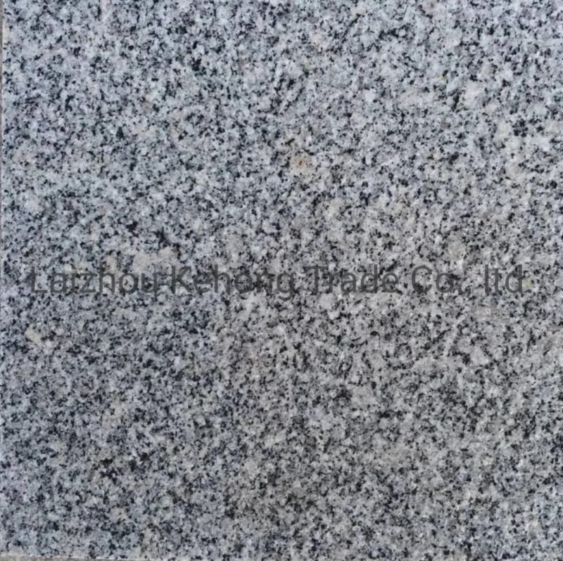 a Large Number of Wholesale Chinese Grey Natural Granite Building Plate Stone G3654