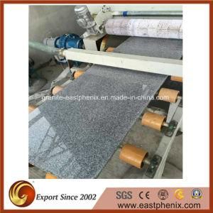 Natural G603 Granite Tile for Flooring/Ceramic Tile