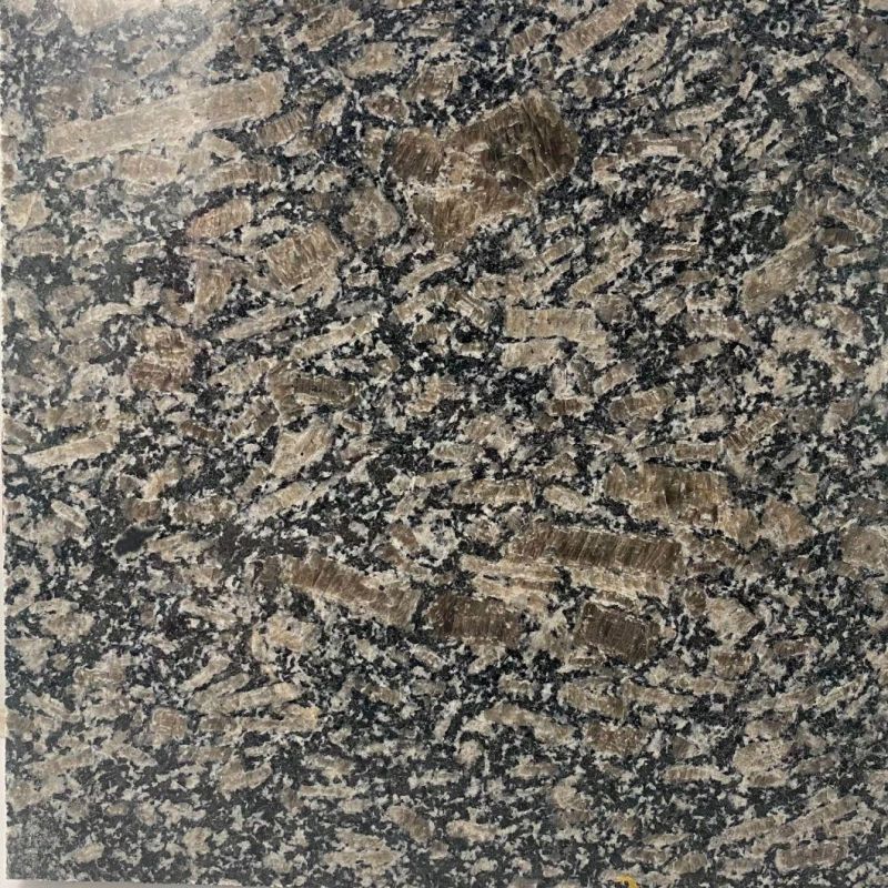 New Cheap Grey and White Granite for Polished and Polished Tile