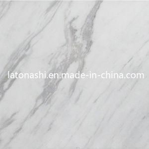 Natural Volakas White Stone Marble Floor Tile for Decorative, Flooring