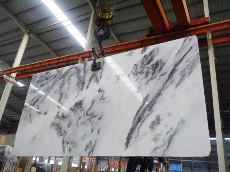 White Marble with Grey Cloud Slabs/Tiles Wall Floor Tile/Interior Decoration