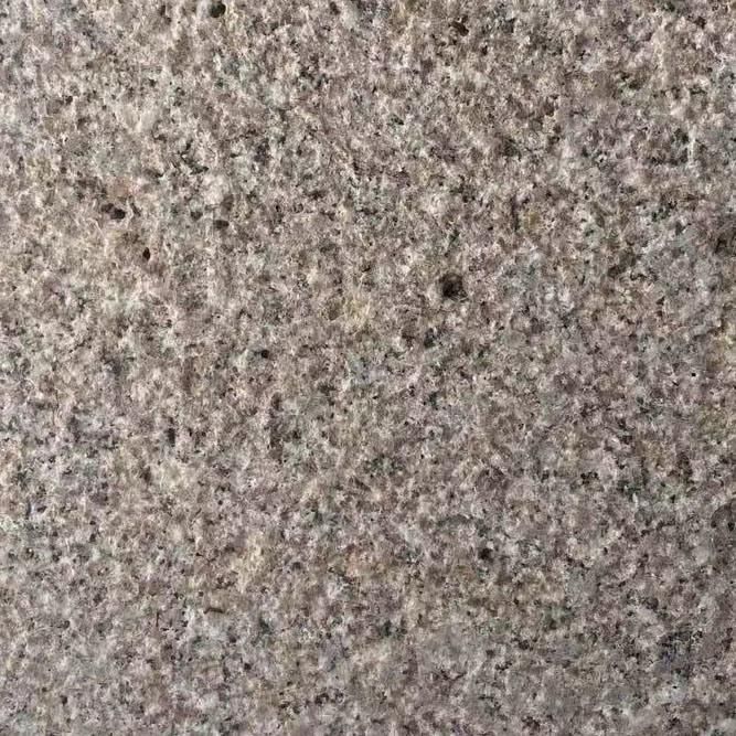 Competitive Price China Natural Stone Granite for Building Materials