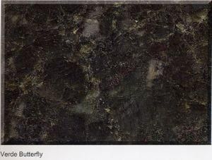 Verde Butterfly Color Polished Granite for Slab/Tile/Stairs/Sinks