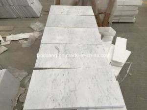 Natural White Carrara Marble for Flooring Tile