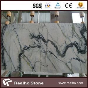 Beautiful Polished Clivia White Marble Slabs with Green Vein