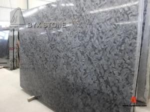 Matrix Black Granite Slab for Wall Decoration