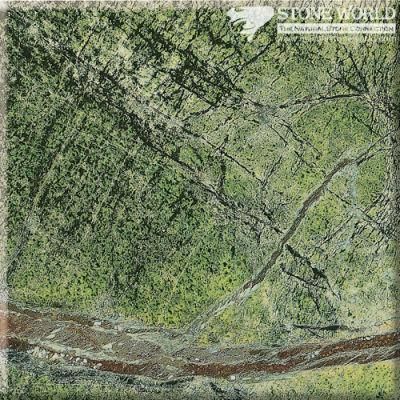 Polished Forest Green Marble Slabs for Flooring &amp; Wall (MT076)