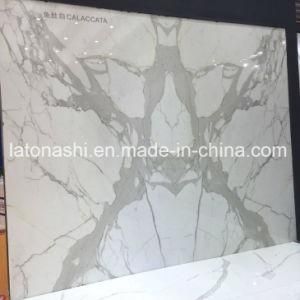 New White Vein Marble for Decoration Floor Project/Slab/Countertop/ Tiles/ Steps