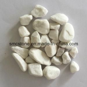 Mechanism Pebbles Pebble&Gravel Pebbles (SMC-MPW038)