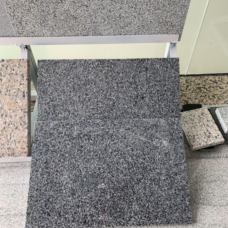 Lower Price Granite Slabs Natural Stairs Granite Outdoor Tiles for Living Room