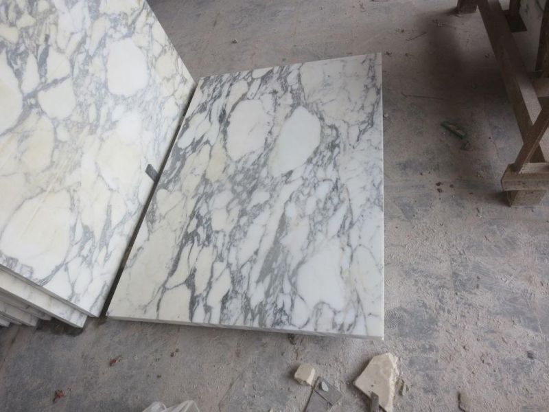 Polished Arabescato White Marbe Tile for Interior Wall Flooring Design