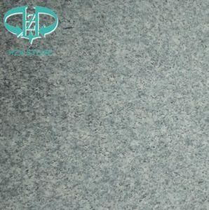 G343 Grey Granite/Granite Tile/Granite Slab/Slabs/ Granite