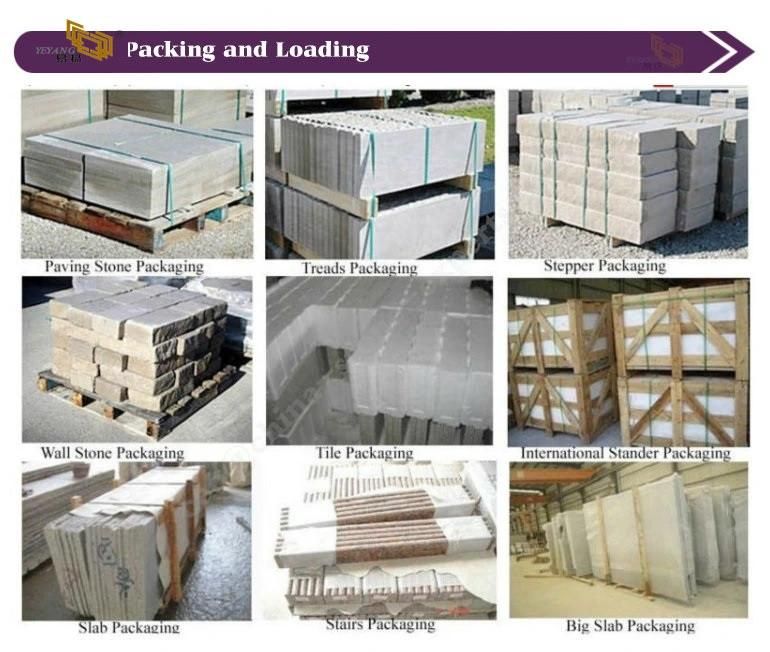 Marble Kitchen Table/Countertop/Bathroom/Floor/Wall Marble Slab/Tile Supplier
