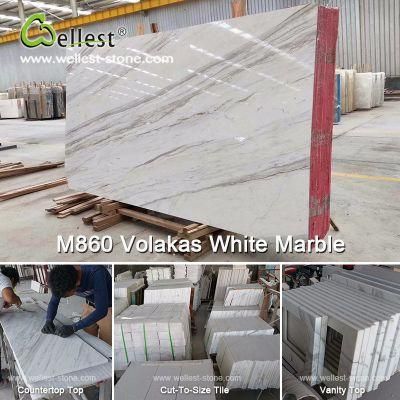Different Beautiful Panda/Statuario/Carrara/Arabescato Corchia/Volakas White Marble for Hotel and Villa House