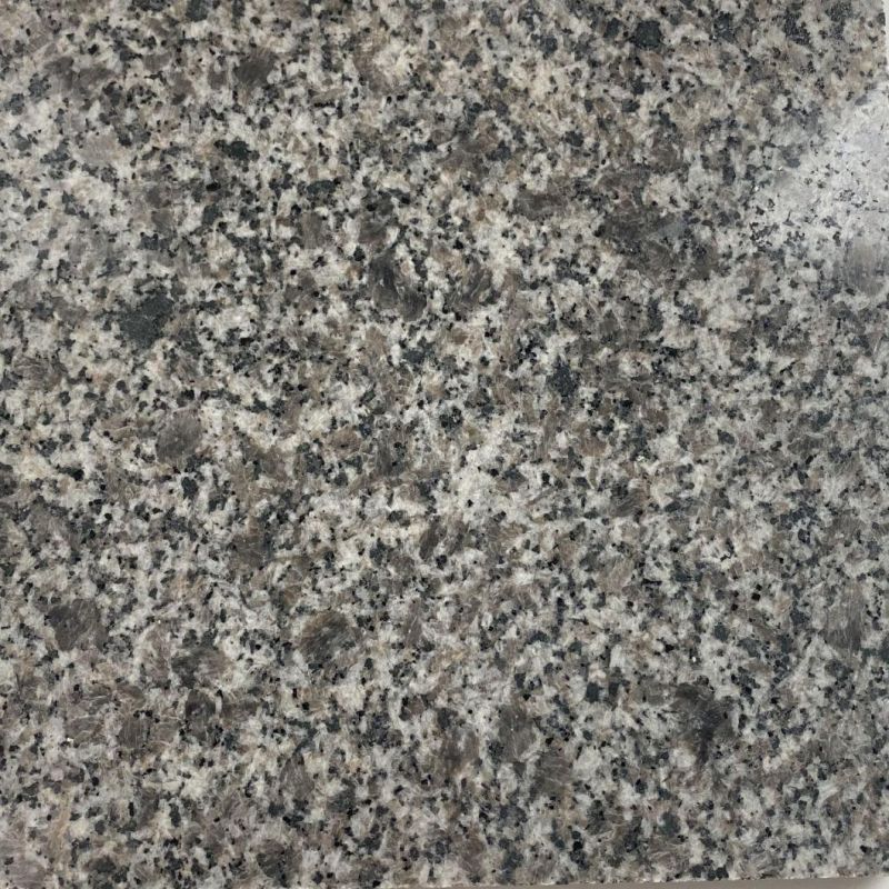 New Cheap Chinese Grey Granite for Polished and Flamed Tile
