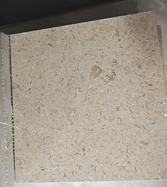Sinal Pearl Beige Marble Natural Light Yellow Beige Marble Polished Slabs Cut-to-Size Tiles
