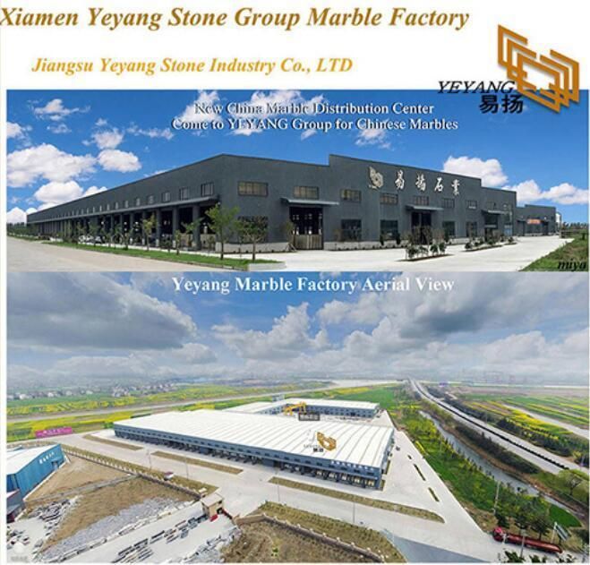 Polish China Stone Marble Slabs/Tiles for Countertop/Benchtop/Vanitytop/Table Marble Factory