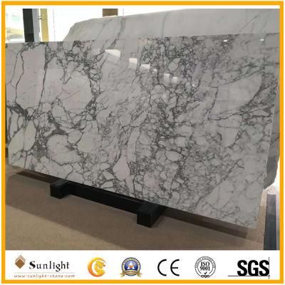 Popular White Stone Arabescato Marble Slab for Tiles, Countertops