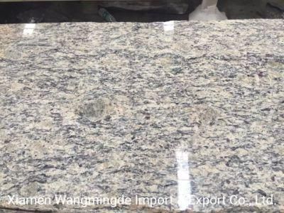 Natural Stone Slab Buiiding Materials Graite for Floor Stair
