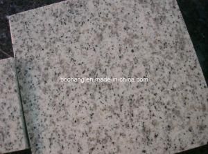 Chinese Pearl White Granite for Flooring Tile Road Cubes