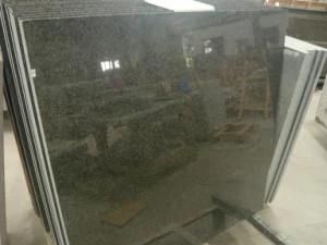 Imported Granite Impala Black for Tiles/Countertops/Kitchentops/Hotel/Building Materials
