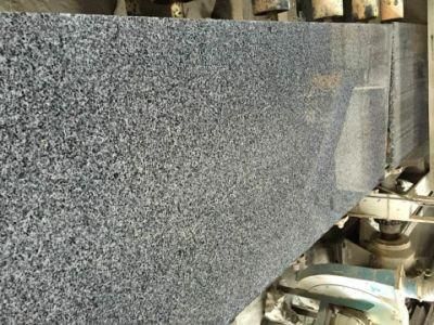 New Natural Stone China Grey Granite for Exterior Floor