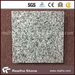 Grey Sardo Granite for Flooring Tile