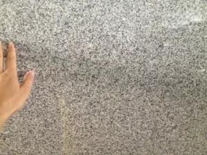 Cheap Price Popular G603 Sesame White/Grey /Black Granite
