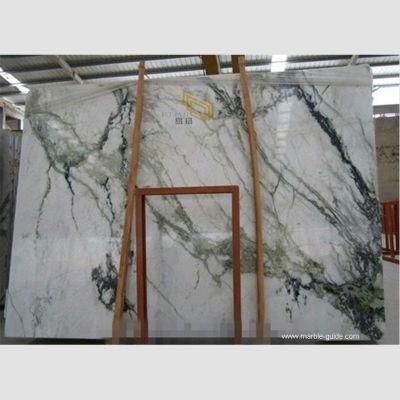 Clivia White Marble Tiles for Floor Design/Wall/Bathroom/Hotel Building Material