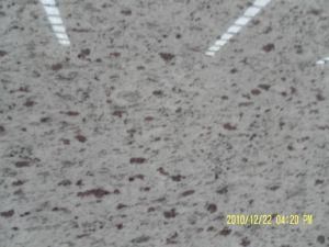 Imported Granite White Galaxy for Tiles/Countertops/Kitchentops/Hotel/Building Materials