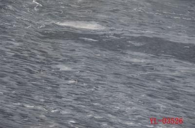 Natural Stone Grey/Beige Polished/Honed Marble for Floor/Wall Countertops Vanitytops