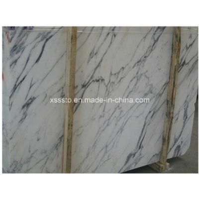 White Arabescato Vagli Marble Tiles