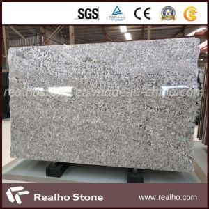 Factory Price Natural Polished Brazil Bianco Azul Aran White Granite