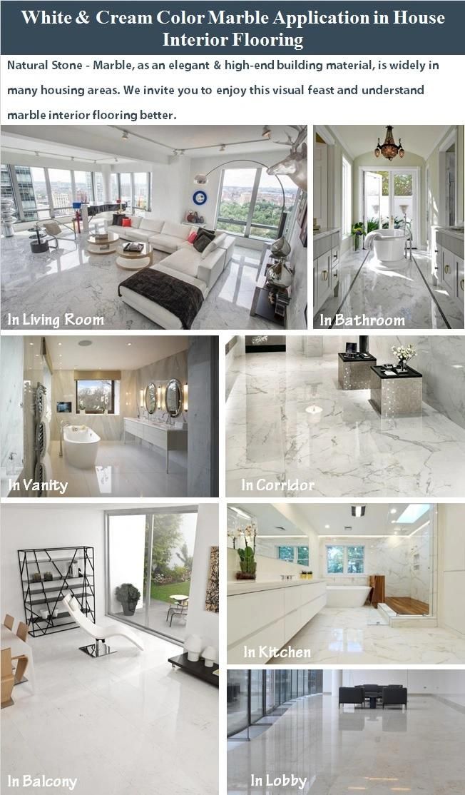 Natural Stone Polished/Honed/Acid Marble Tile for Background Wall/Floor/ Floor Wall Decoration