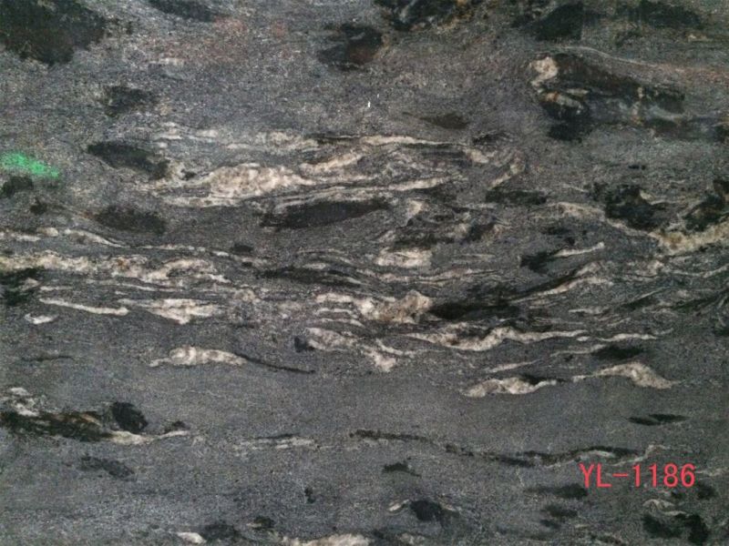 Universe Golden Black Marble Slabs for Flooring Tile, Countertop