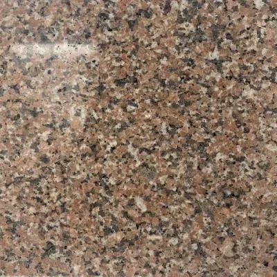 New Cheap Chinese Red and White Granite for Polished and Flamed Tile