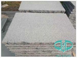 G654 Grey Marble Slab