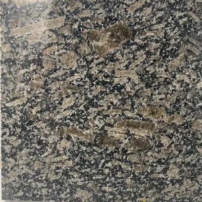 Popular Brown Granite for Kitchen Countertop/Bathroom Vanity Top/Wal Tile/Floor Tile/Steps
