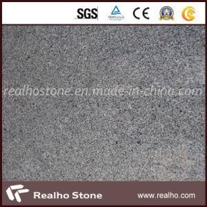 Cheap Grey Granite Tile with Good Quality