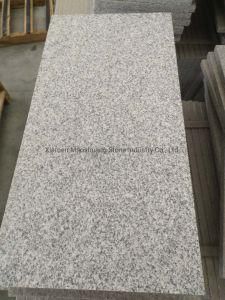 Light Grey/White Flamed Granite Paving Stone for Outdoor Application