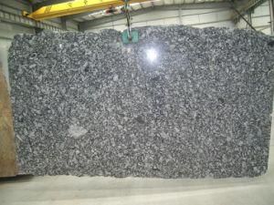 Imported Granite Oyster Pearl for Tiles/Countertops/Kitchentops/Hotel/Building Materials