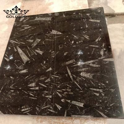 First Quality Natural Stone Slabs Polished Black Fossil Marble Slab for Project Floor Wall Cut to Size Tiles Kitchen Bathroom Countertops